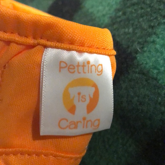 Doggie clothes - diapers Bundle - Picture 14 of 15